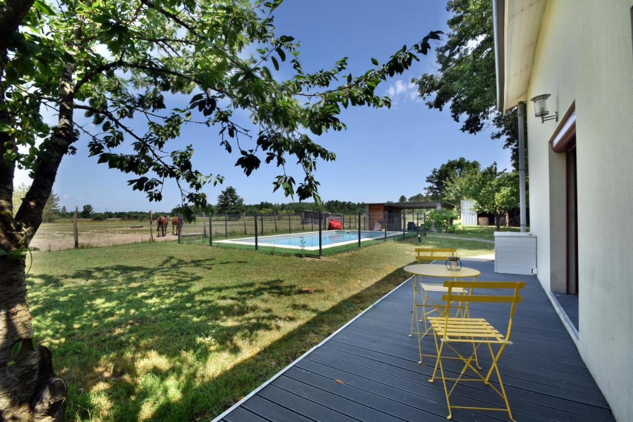 Villa Monplaisir 82 Montech Zewnętrze zdjęcie